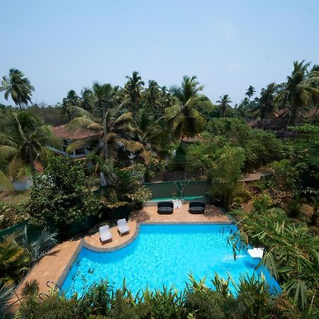 Fig House Anjuna-Chapora Road , Siolim 1Bhk Suite Oxel Ngoại thất bức ảnh