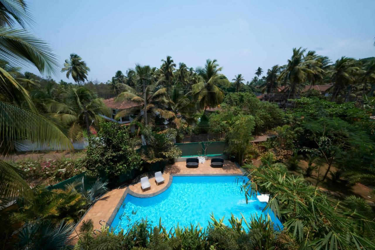 Fig House Anjuna-Chapora Road , Siolim 1Bhk Suite Oxel Ngoại thất bức ảnh